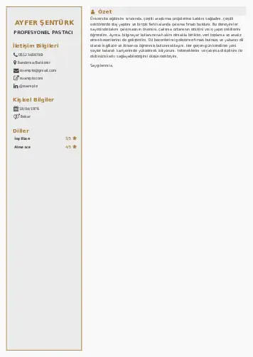 Pastacı Cv Örnekleri cv indir